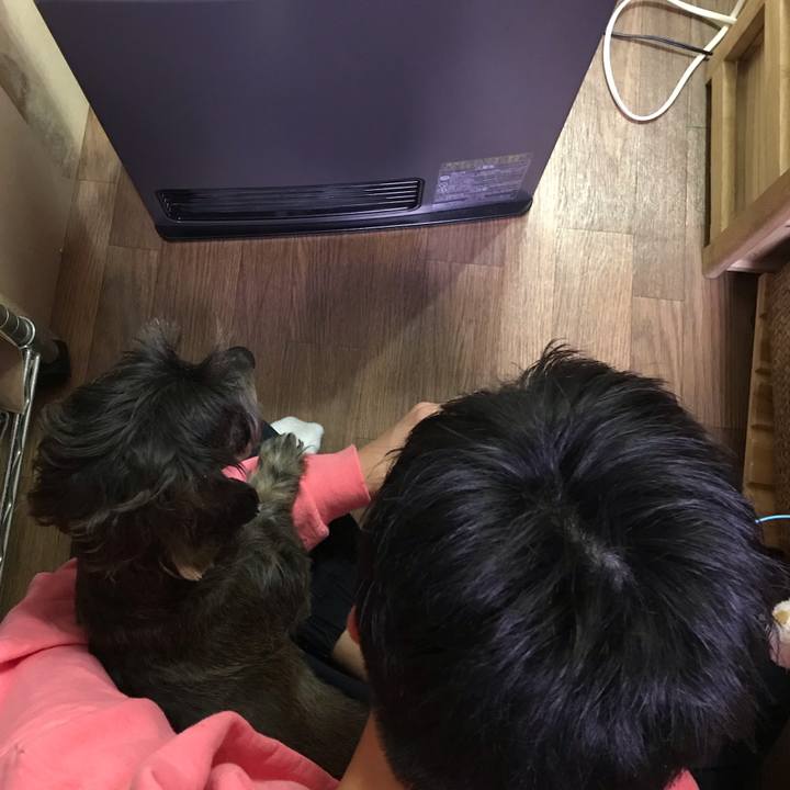 3a05c90e a551 4737 9df7 6de00a950610 1544252864339