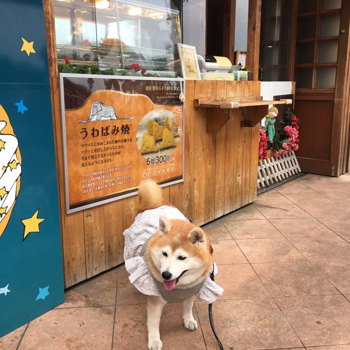 3a05d872 7106 45b4 bcba d37b14c87f7f 1559047503365