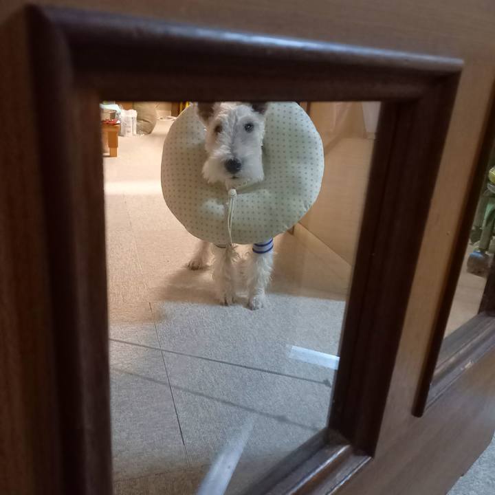 3a05e381 2e5b 497e aa56 a416c4bbeab8 1641907607068