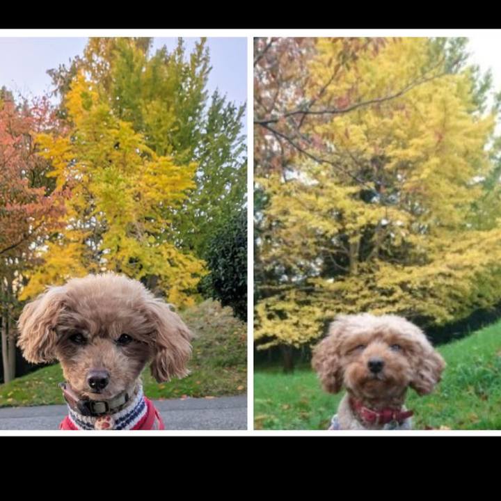 3a06065a 22ed 4030 9d05 436a04a853ff 1763960105912