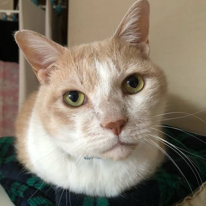 3a0618c0 25b9 4f78 b35c 0cae5853e135 1610062154464