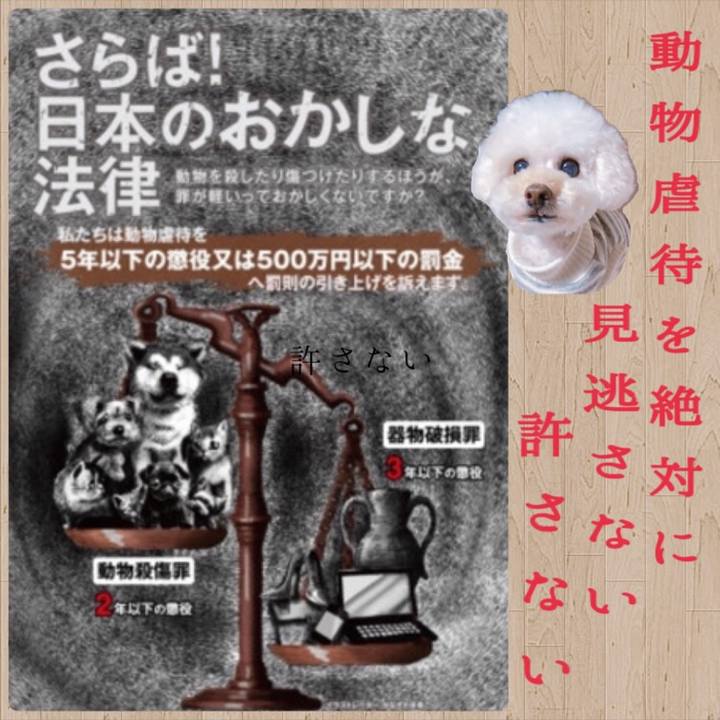 3a062856 0290 41f8 8c5c 1d1675d77115 1549942492602