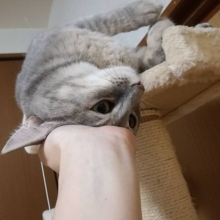 3a06316b cce4 4dae a0c7 3fa842e1f512 1508719135944