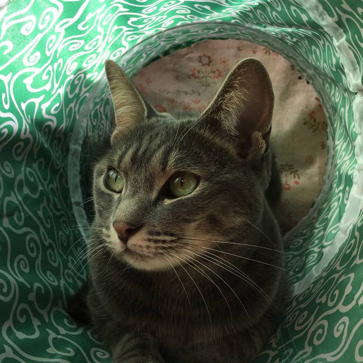 3a063294 d5bc 404d 9a32 8b52c63a51ab 1510455735584