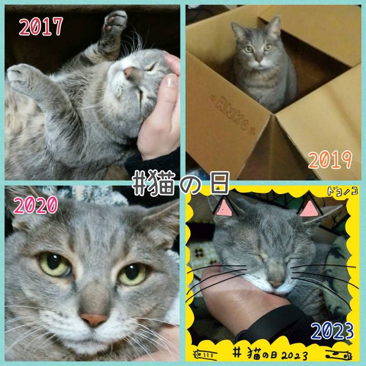 3a064980 73c1 44c6 891d 223a67b5fe97 1740175876670