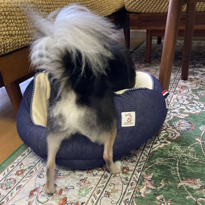 3a06701c 65a4 443e b575 25a18fe7f4ef 1658067790763