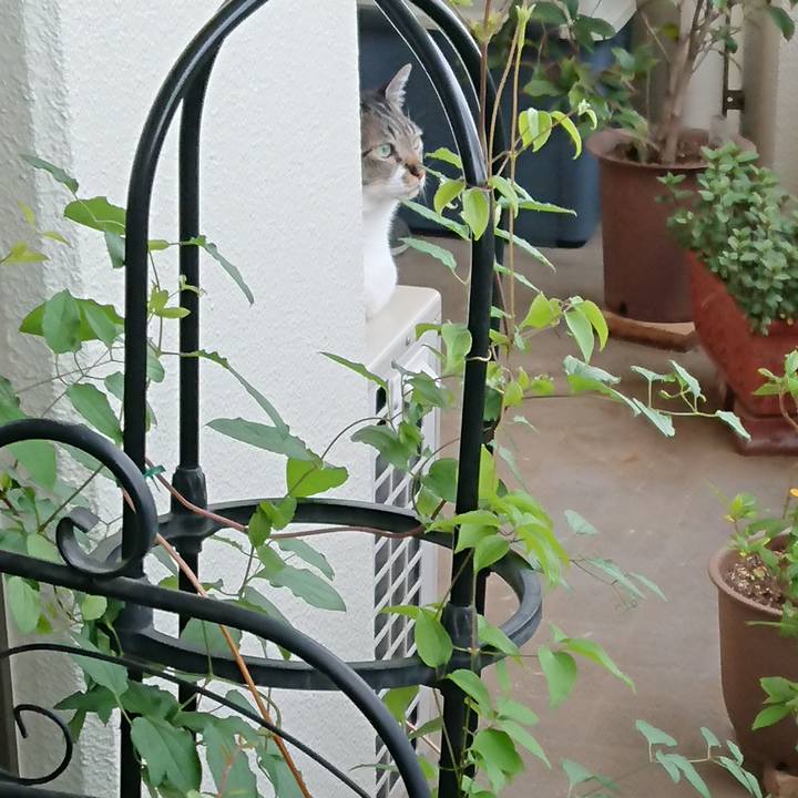 3a0672f0 bb22 4ec7 aa51 0660c5fc50d0 1524799644837