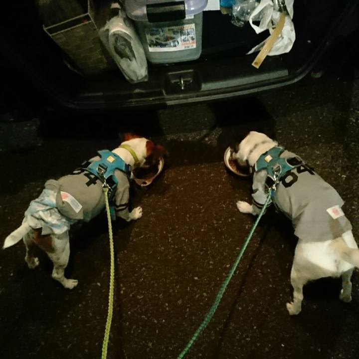 3a0681c9 dffa 4a15 a302 365e939577a3 1605700175139