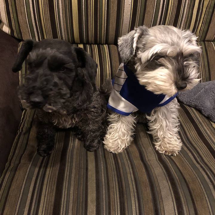 3a068270 ad94 434b 92f4 32af5bd0f854 1554290776948