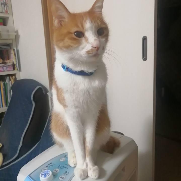 3a06a0ac a889 404f 8582 8c3734976087 1622203178513