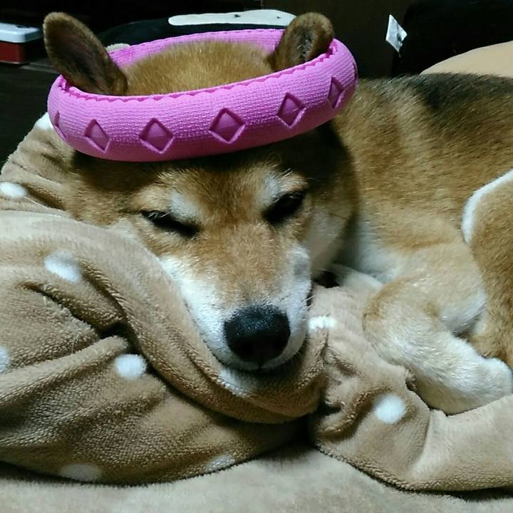 3a06ade2 f609 4b06 afbe fa53648339d2 1565435101245