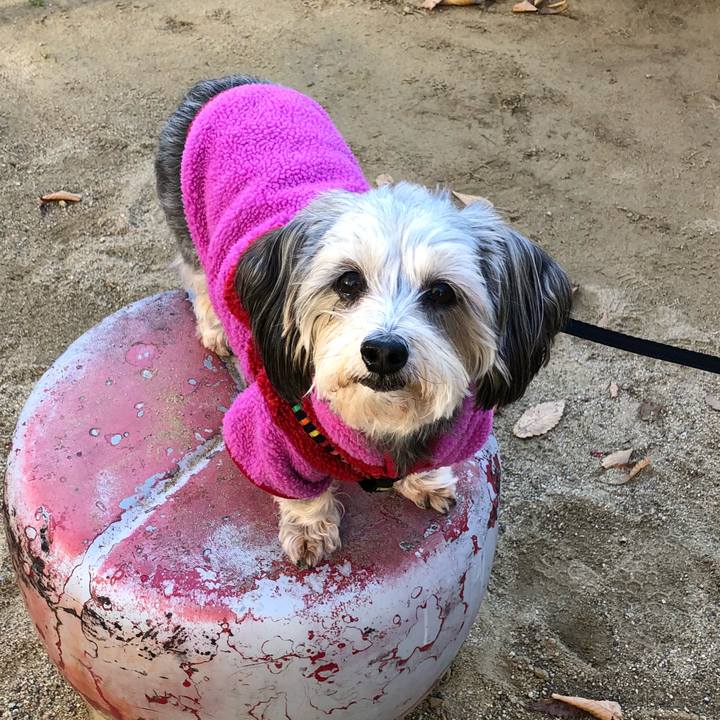 3a06b4b7 94a7 473f 8c9f d5c856d33360 1512180869655