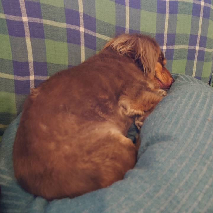 3a06b6b9 bb29 4b4b b731 c17e4c4f7fea 1687225045043