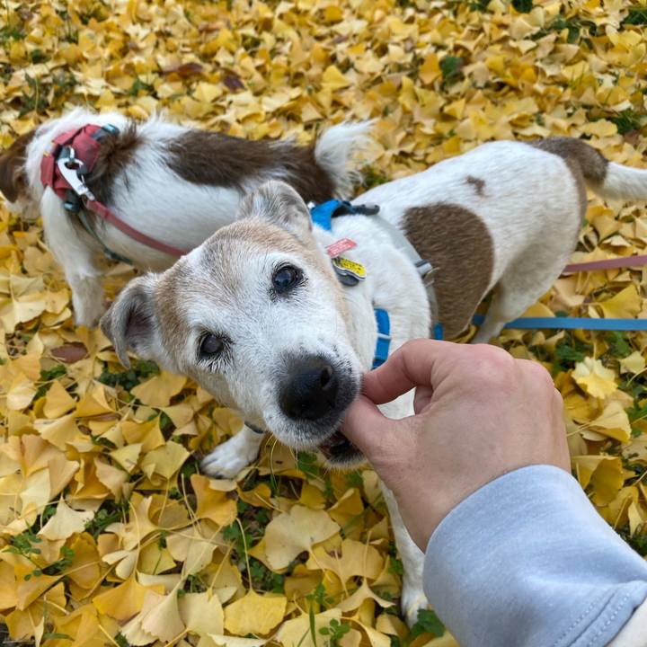 3a06c633 f282 4502 aa23 e1ea1ccd27b6 1702182297803