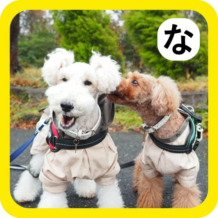 3a06e26a bfd1 4b31 9ae6 6a5a9dc0ea51 1514813782324