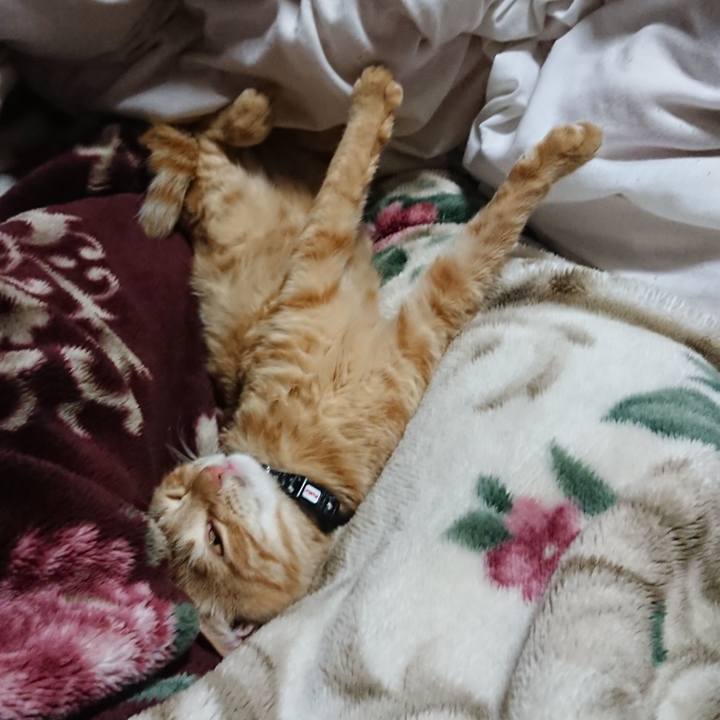 3a06f863 68b4 44cb a6fd 8788620fd09b 1635856155690