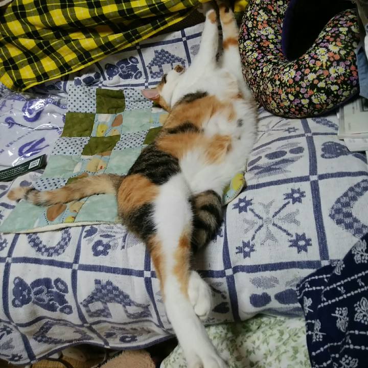 3a06ff04 9660 4e67 aea9 7d60a18264f2 1538826371033