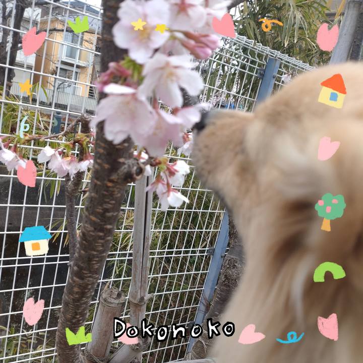 3a070419 ae3c 4602 9ad5 4374a04b615e 1741068440394