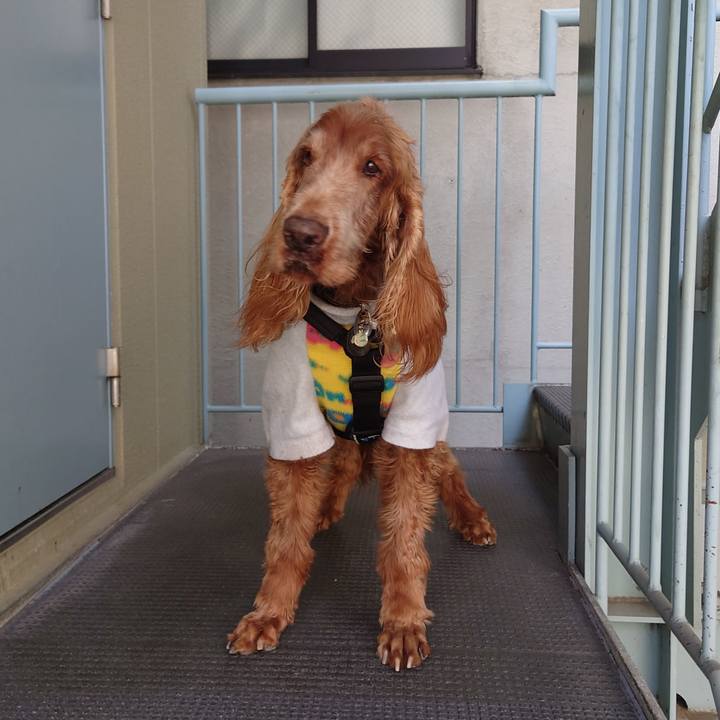 3a0714c1 7961 4ea5 b95f a2233597356e 1709257037046