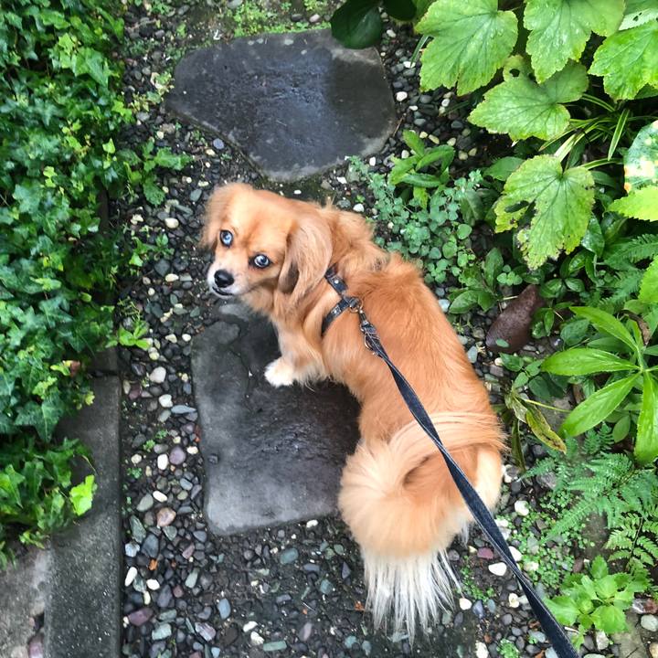 3a078b84 dfd6 499b a411 0fa6d0c1dd58 1536096092789