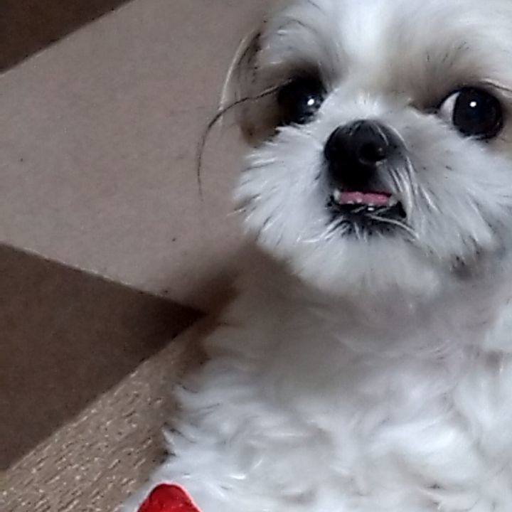 3a078e25 89b1 4892 9921 41f3bdeacf39 1750550223541