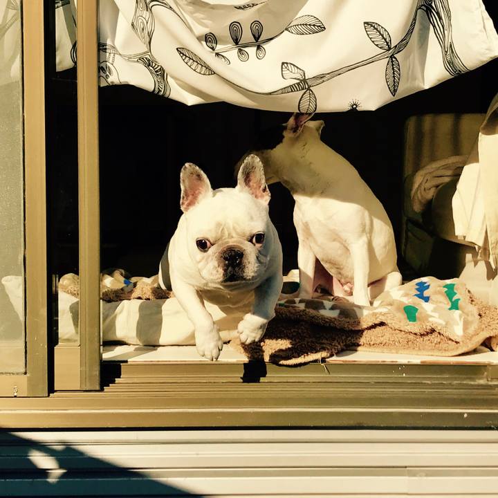 3a079e88 2007 47ca 8eae 4773345db381 1519347412615