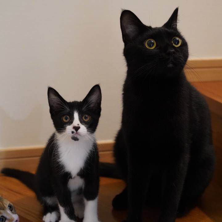 3a084ed7 4f98 41b4 9a9f 33b74ad47f81 1569030287057