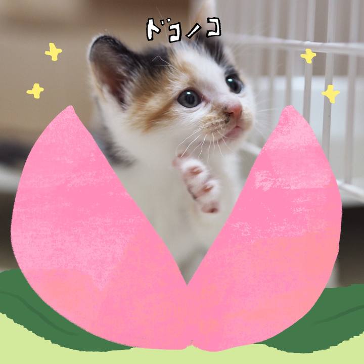 3a086fd1 5a77 4e8c a546 de51d976a5d0 1771887289659