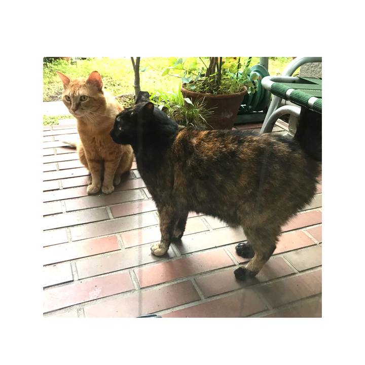 3a0911a4 fbc6 49e9 bc29 e45b5412d9f4 1623047612910