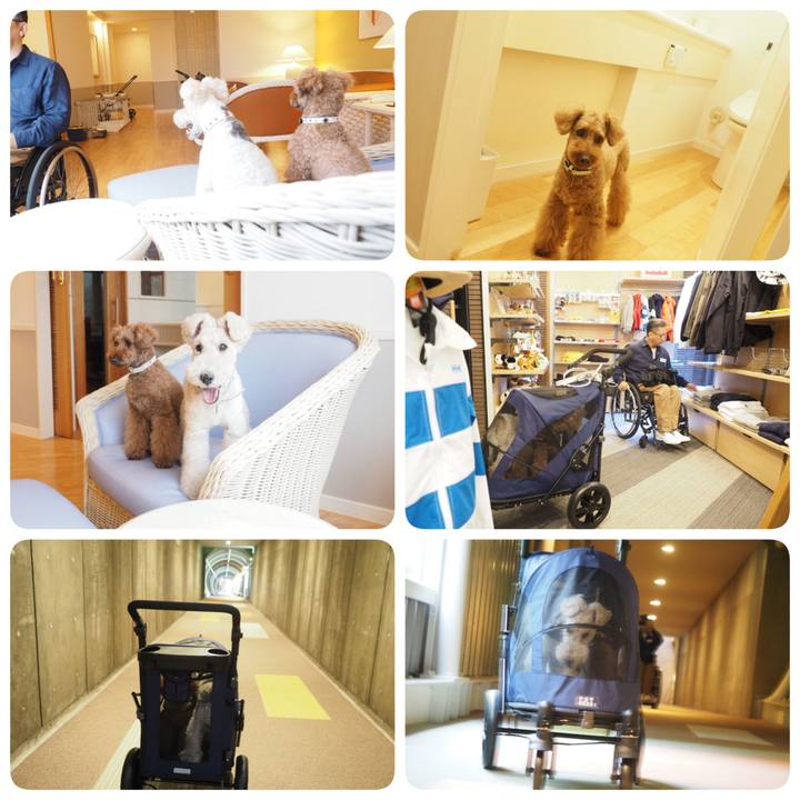 3a0916f7 4ede 4218 bce1 49ab7e6a95bc 1561933551351