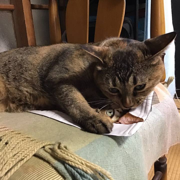 3a093b0f 58f6 44e8 9b65 a4c7b596995b 1723679997148