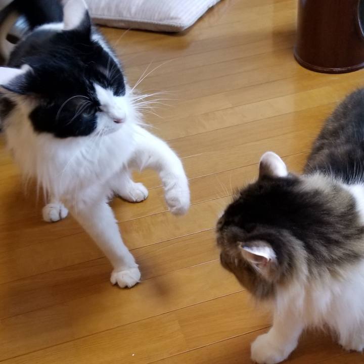 3a0a1792 ef4c 4364 9e11 becbd5f128e3 1570742682504