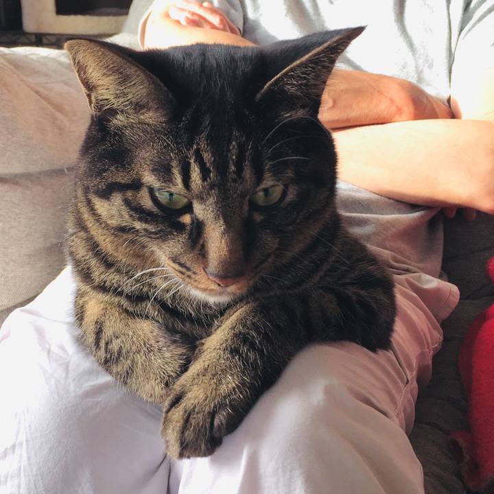 3a0a22d3 81f8 4be4 8acb fe9b7f94274a 1539574403974