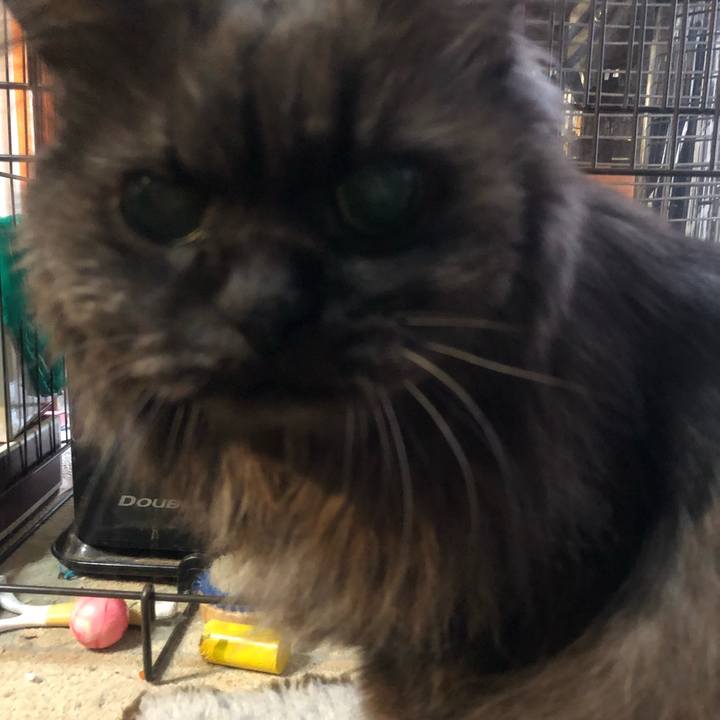 3a0a3729 ea82 473b abe3 6fc31eaa6ddc 1545949211568