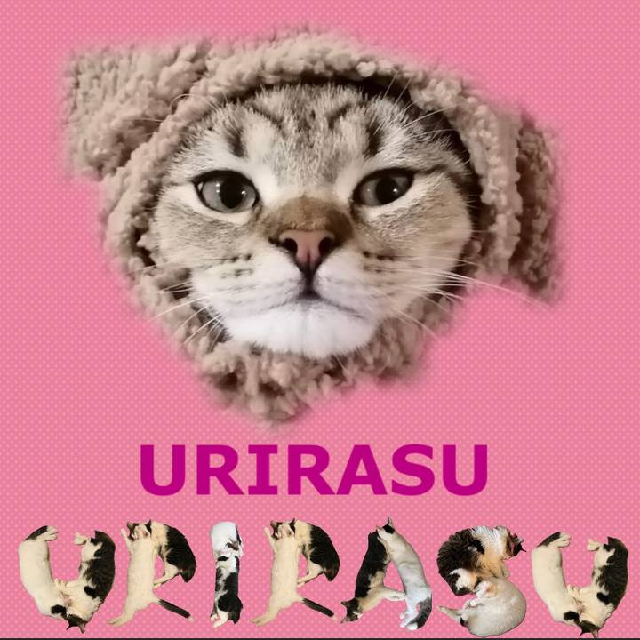 3a0a6184 04ae 4695 835a baf41f8869eb 1667575922361