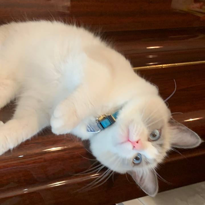 3a0a7388 90cc 4cc3 ab61 232d7dc4d623 1628346434660