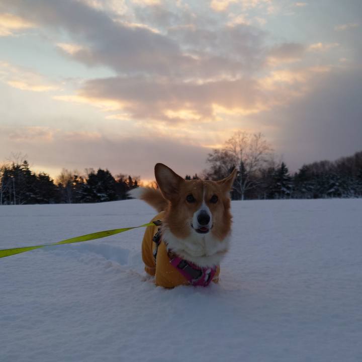 3a0a784c e3a2 41e7 b2e6 e4b85a2cd1c1 1765256735504