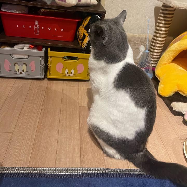 3a0a967e 69f1 48a5 ad82 939dffc6886b 1684423125145