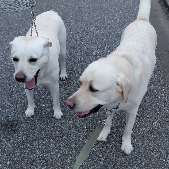 3a0aa7fb 0104 437c aba1 850681807b08 1594207478891