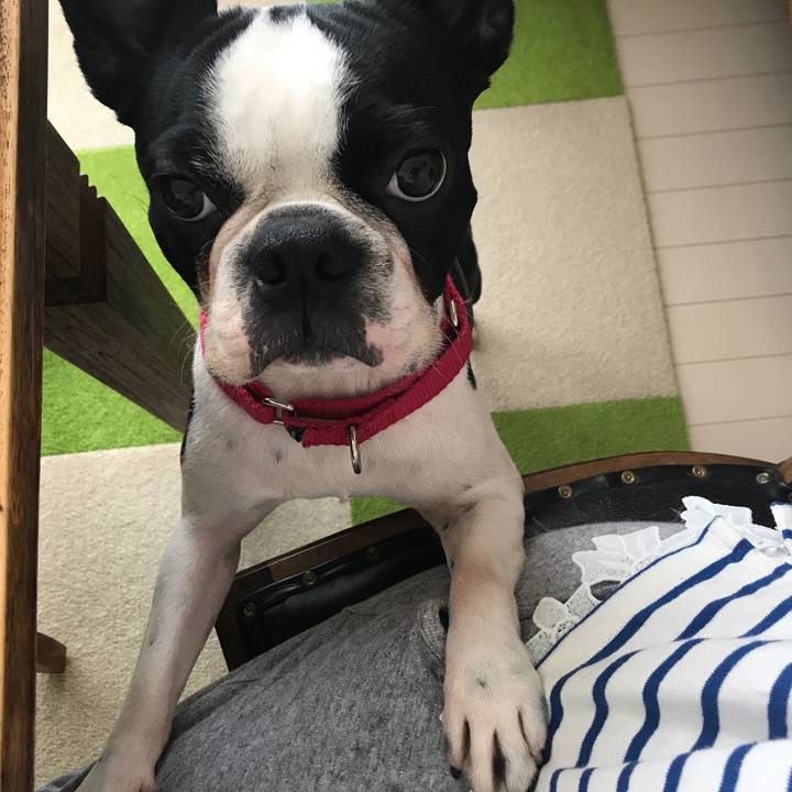 3a0aafe9 ecf7 4814 9ec1 6c705354b573 1528932498159