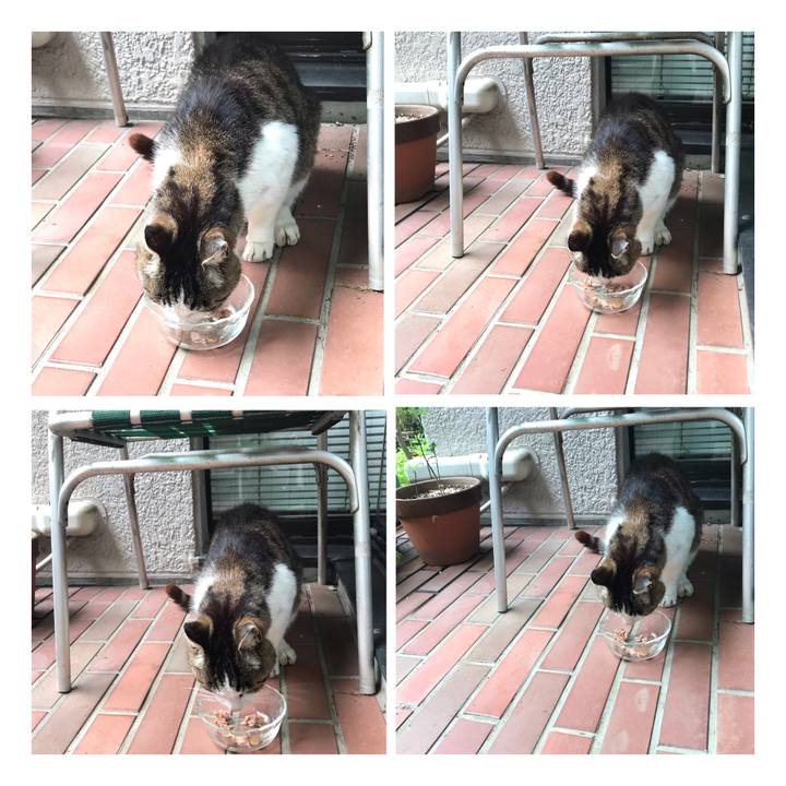 3a0adc63 4bac 4c4a bf32 d6c664c045b8 1651111624454