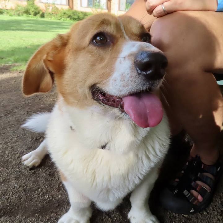 3a0aea90 c319 4412 aaae d748a845ddd5 1693529009991