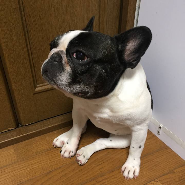 3a0aeaf3 7129 4921 8da1 9948607a3821 1565270084271