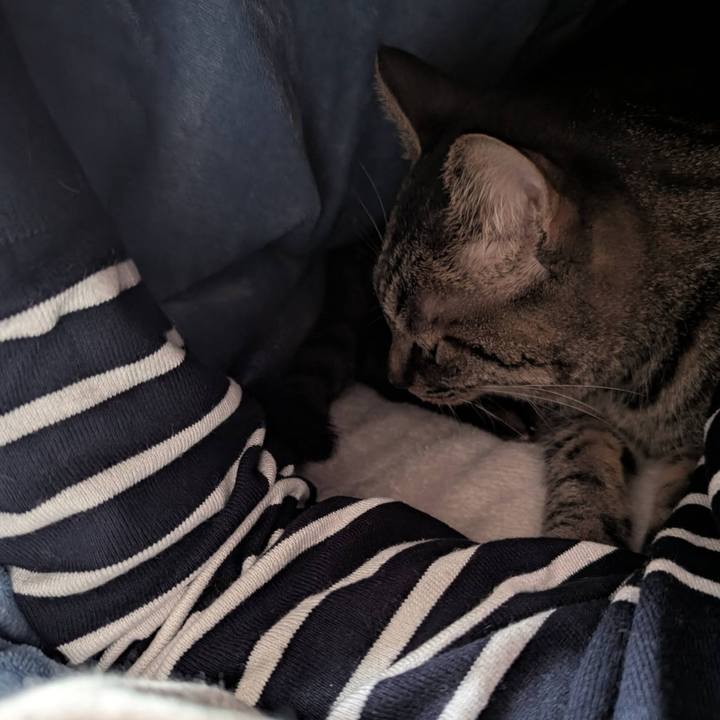 3a0b08cb de58 4305 86f1 751561ba9428 1772436264082