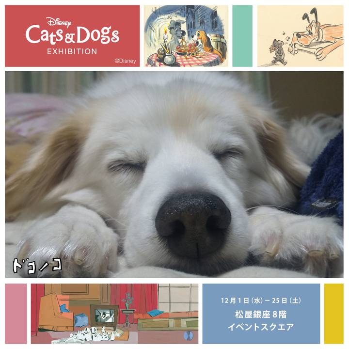 3a0b7e23 adbc 4844 b930 a04aaea49f0b 1638701596142