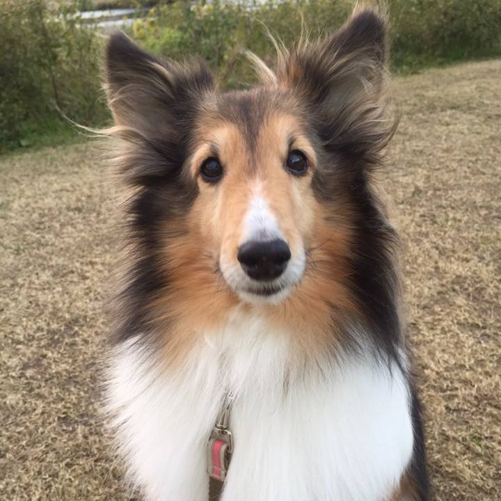 3a0b93c7 1bce 4598 a53e af603c7ded56 1558451111899