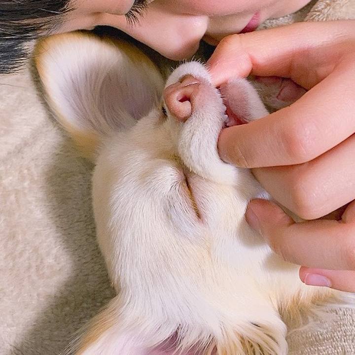 3a0bea6d acd0 4e2d b825 a57f80527491 1613707859714