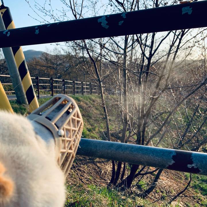 3a0c009d c3b1 446e 98a4 5b0d27d362e8 1619126152214