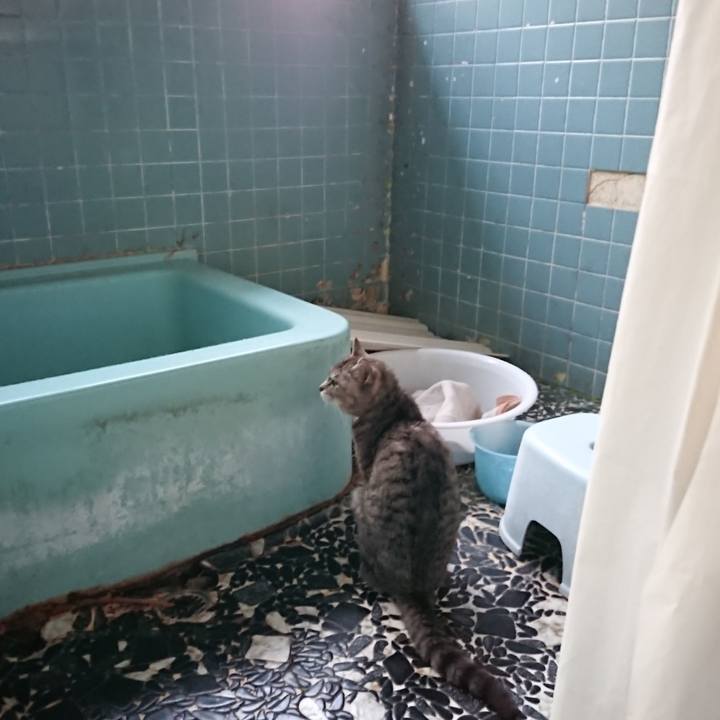 3a0c5c53 d926 477a 8b7c c27ee15fafeb 1592215975061