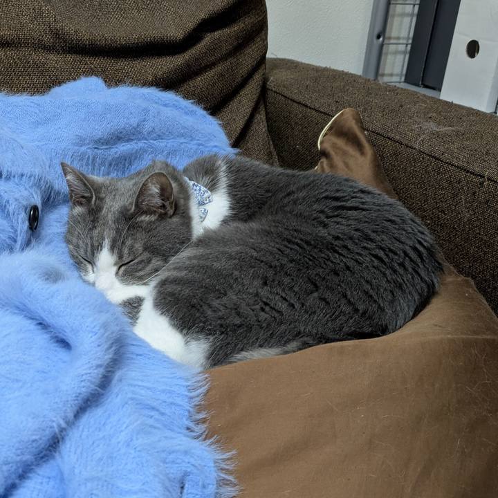 3a0c9067 1116 4cf1 aa4c 273e400dd777 1770301147649